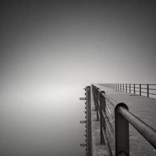 极简唯美的黑白树景,充满了荒凉的美感