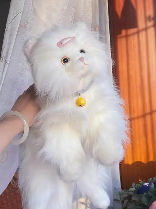 russ波斯猫眯着它的眼睛