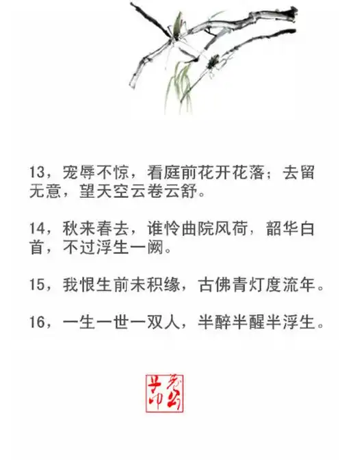 最有意境的33句古风句子~ 闲看花开,静待花落,冷暖自知,干净如始.