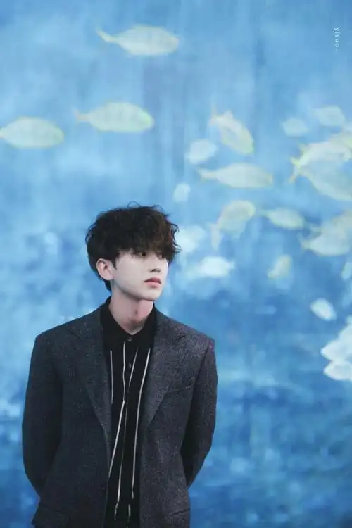 cr:一所纪 蔡徐坤精修(手机壁纸)