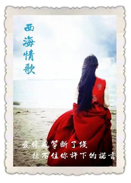 西海情歌创作背景的故事