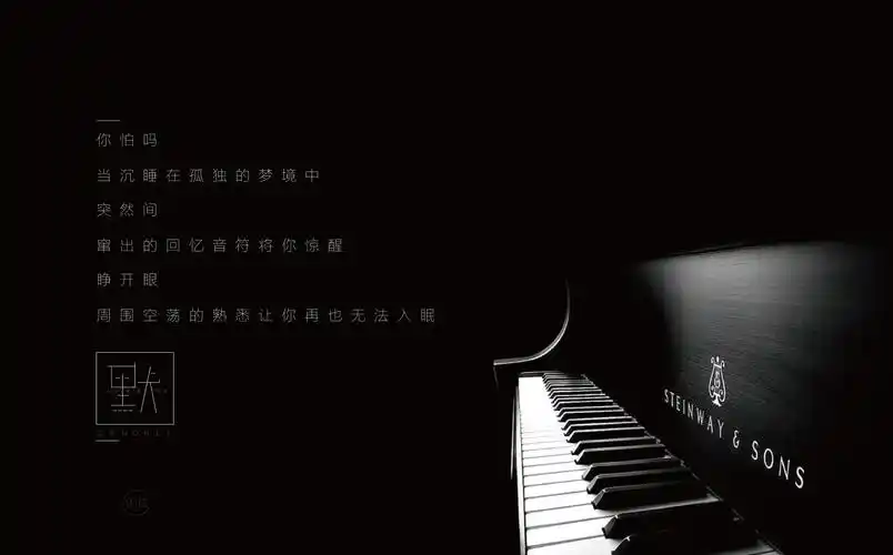 沉默中的黑白 【默】系列广告 文案加上字体排版设计