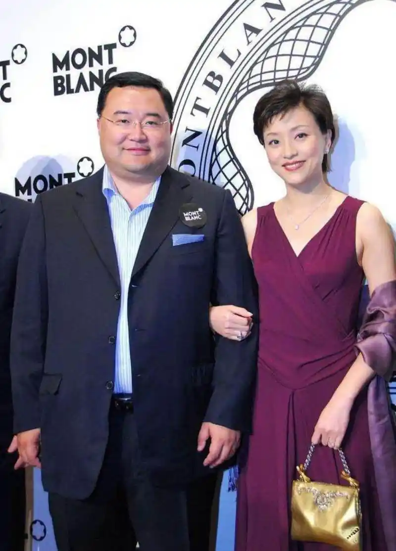 杨澜的丈夫很帅气