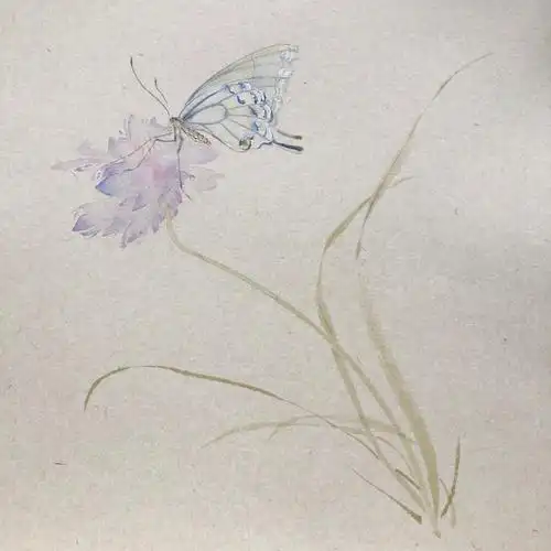 国画没骨蝴蝶03