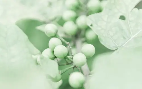 小清新自然风景图片桌面壁纸