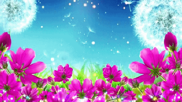 精彩视频截图gif鲜花背景素材