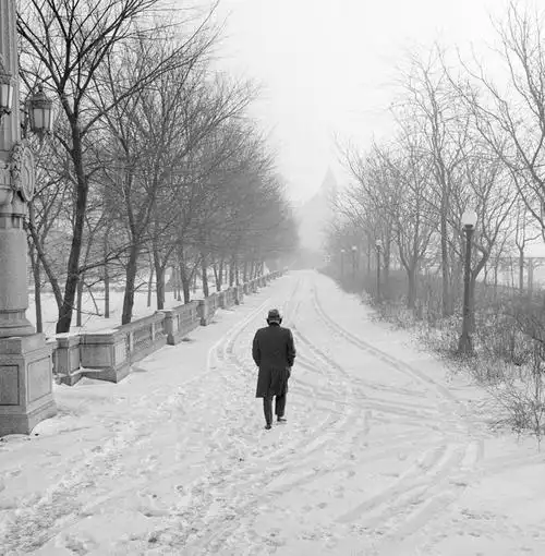 西方人,成年人,一个人,公园,竖图,方图,黑白,室外,白天,雪,欧洲,欧洲