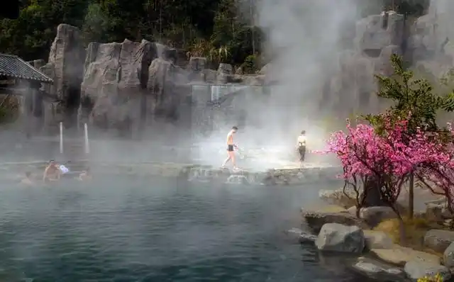 七月江西铜鼓行别样夏日打卡世间桃花源汤里温泉