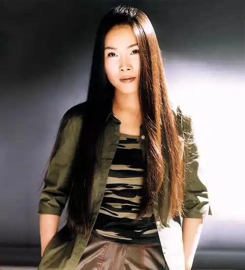 田震歌坛最具独特声音魅力dsdcd