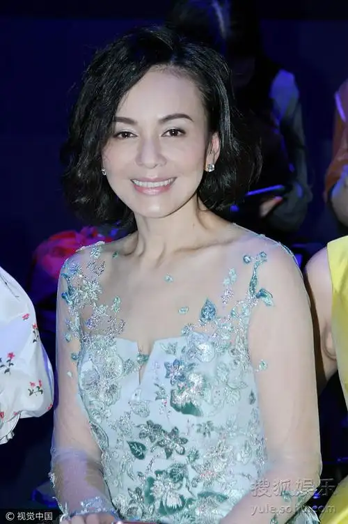 王琳着透视纱裙身材棒 冲镜头大方露微笑