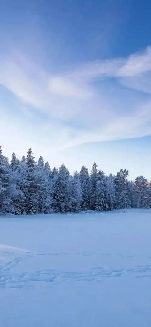 手机壁纸高清全屏,好看的手机个性壁纸