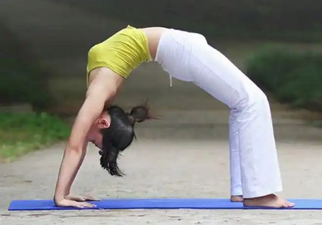 确认过眼神姑娘勤练四招瑜伽体式腰部线条更加突出