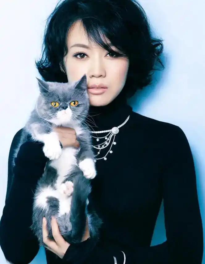 艺术写真   闫妮 中国内地女演员 代表作《武林外传》 5 - 抖音