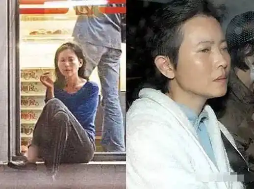 蓝洁瑛去世她一个人有很多梦她用风景盖住痛