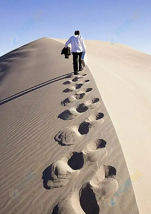 630_893竖版 竖屏