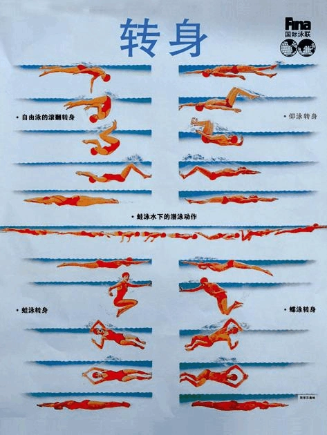 各种游泳姿势展示图片