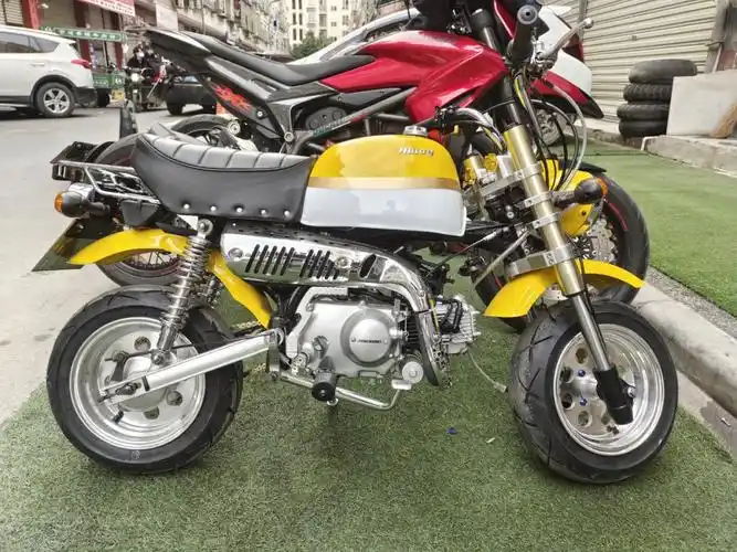 金城小金童猴子