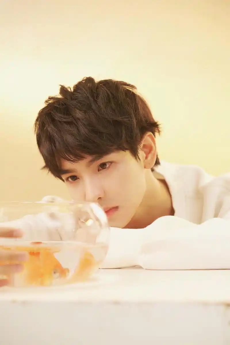 郑繁星微博晒照闪现营业奶萌少年元气十足