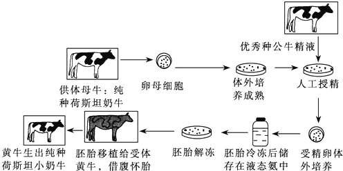 (1)克隆动物培养过程与图示繁殖过程相比特有的技术手段是_____技术
