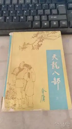 天龙八部(金庸)_简介_价格_小说书籍_孔网