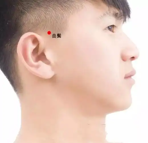 曲鬓穴:属足少阳三胆经;主治:头痛眩晕