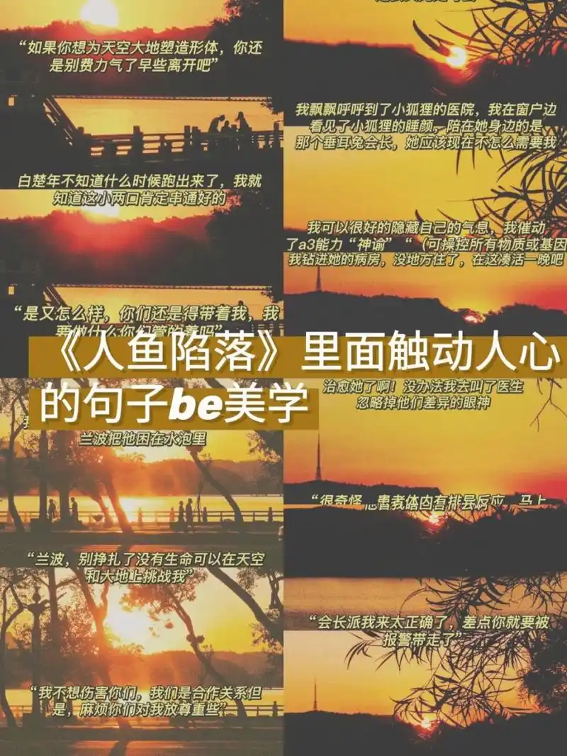 今天给大家分享的是人鱼陷落里面的句子,希望大家喜欢,大家一起来