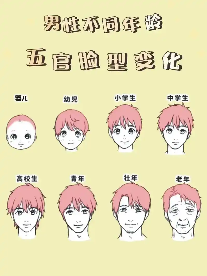 不同年龄脸型五官变化分析.变化的不同感觉#插画 #绘画素材  - 抖音