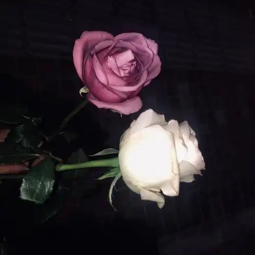 ins潮图朋友圈背景图/高质量/神仙背景