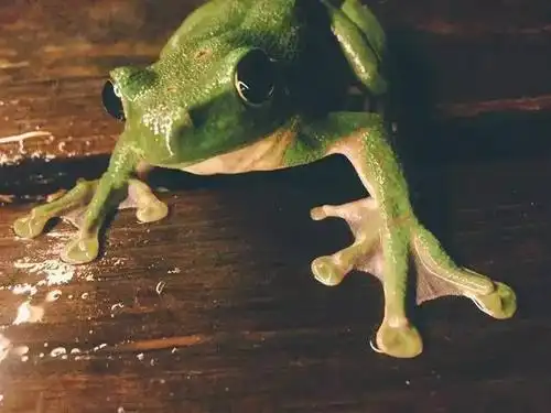 [分享]公园设计线稿资料下载