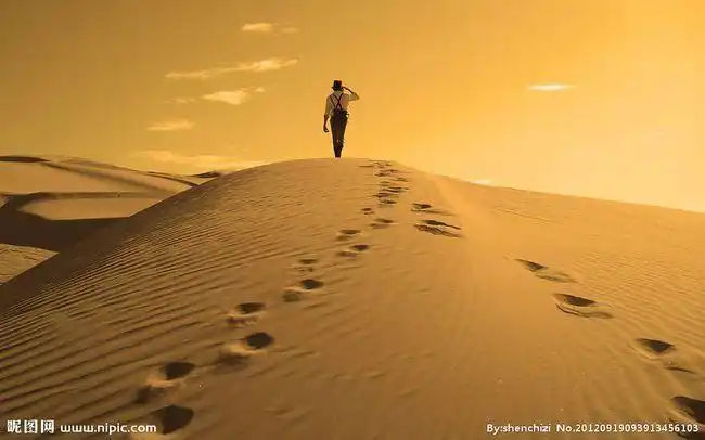 我想做一名独行者