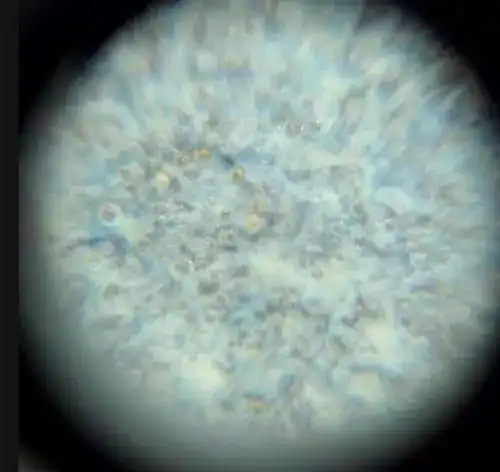 宋代均窑天青釉加入玛瑙和汝窑气泡相同釉面不腐蚀的痕迹,微观痕迹