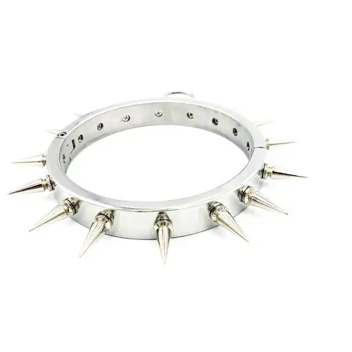 产品介绍 产品信息 名称:带刺项圈 品牌: 黑帝 材质:不锈钢 颜色:银色