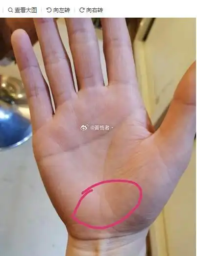 断掌手纹 生命线的末端分叉,来看意志刚毅,能吃苦,能屈能伸,做事比较