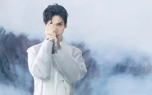 罗云熙帅气冷酷写真,高清图片 - ipad壁纸