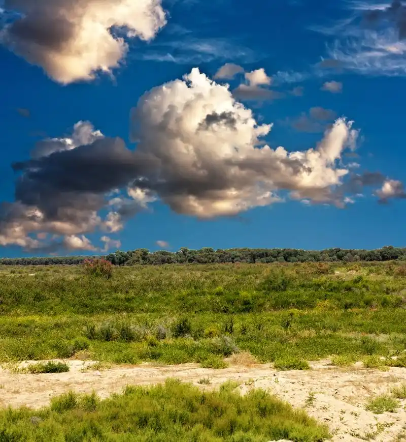 照片.,在哈萨克斯坦的干草原美丽的大自然