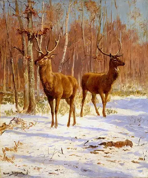 lanselove33  关注  油画 鹿 评论 收藏