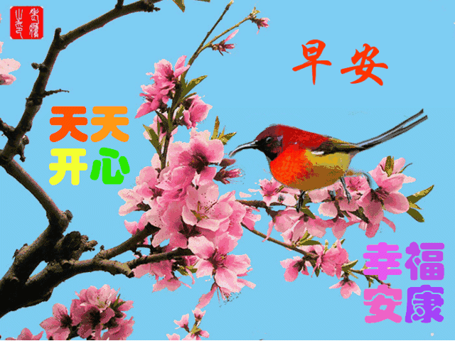 早上好问候语大全 早上好祝福语大全