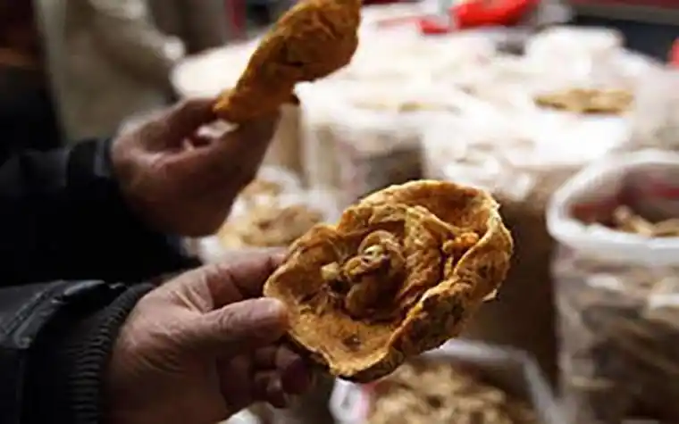 生完孩子胎盘怎么处置?自己吃还是送人?医院给的处理方法很简单