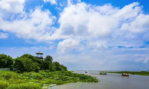 江苏泗洪醉美穆墩岛