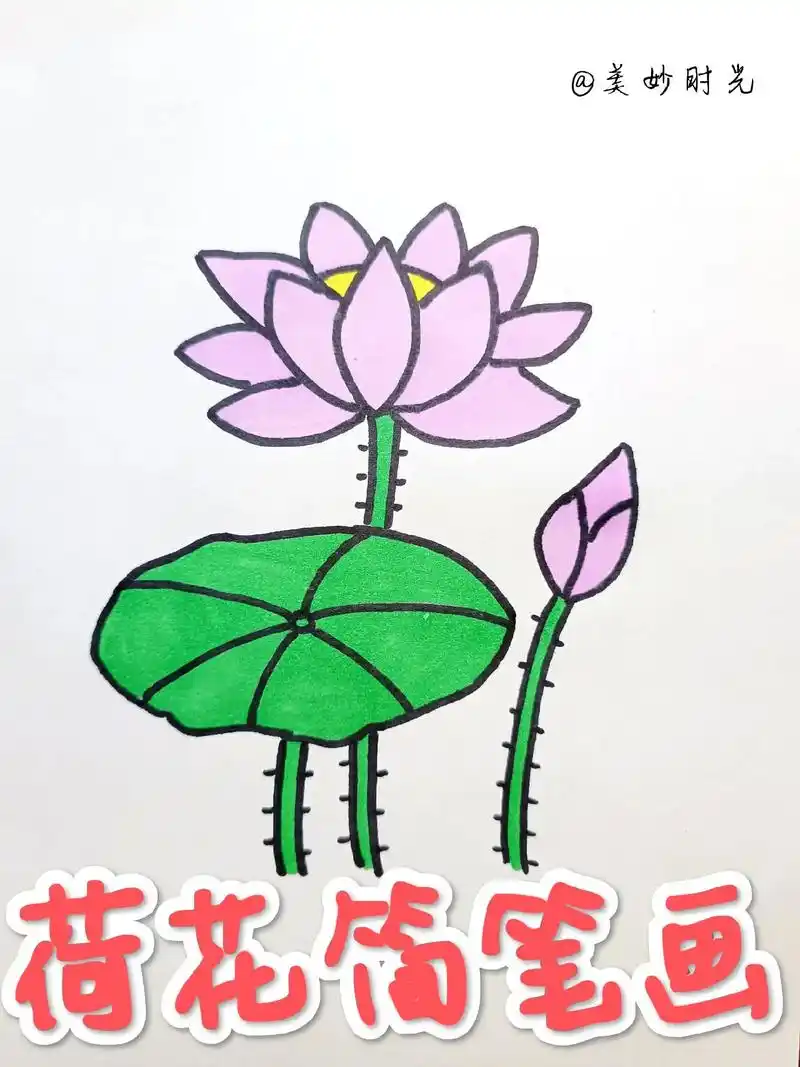 荷花简笔画 #跟着抖音学画画 #跟我一起学画画 #一学就会的 - 抖音