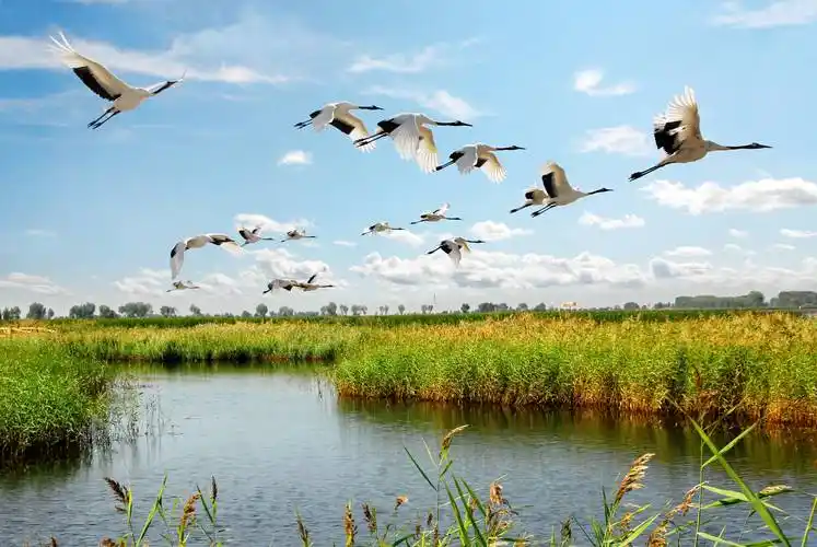 老广,中秋国庆假,黑龙江这些"消暑地"你钟意哪儿?_景区_旅游_火山