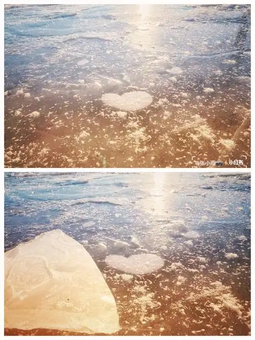 昨天下午带娃在外面玩儿竟然在冰面上看到了一颗冻住的"冰心心".
