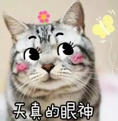 "太阳公公别再晒黑我了,请晒黑妈妈的头发!