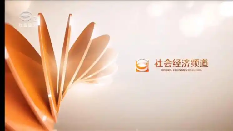 【放送文化】2016年江苏苏州广播电视总台社会经济频道id5秒