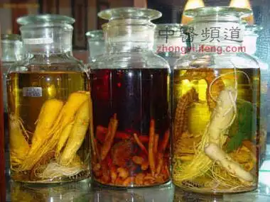 自制十款滋补药酒让男人更雄起,女人更美丽!