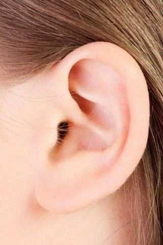 揭晓最有福气的女人面相