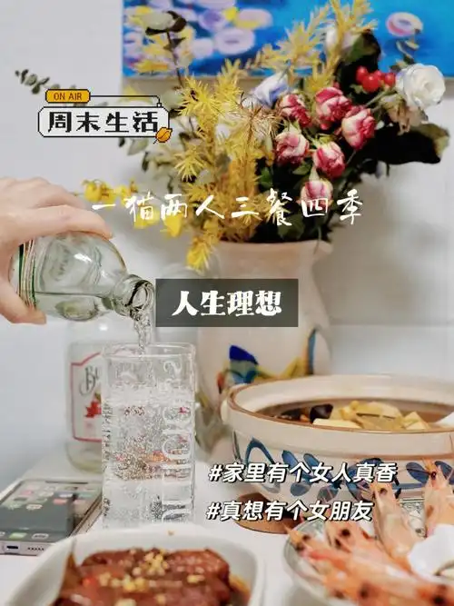 周末生活人生理想一猫两人三餐四季
