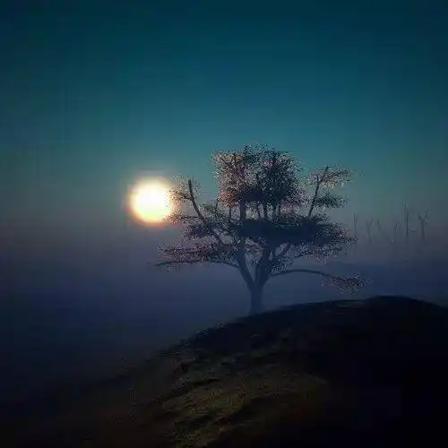 中老年头像大全微信头像男成熟稳重风景图片