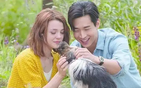 刘宪华的英文名字是什么? - 韩国trap歌曲 - 实验室设备网