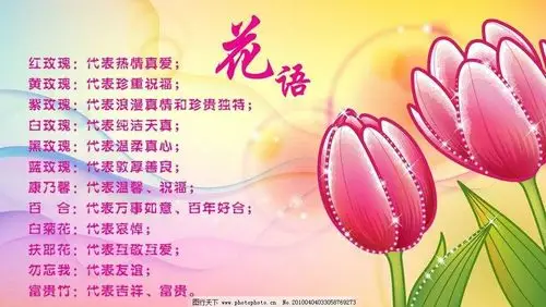 每一种花,都有她的花语